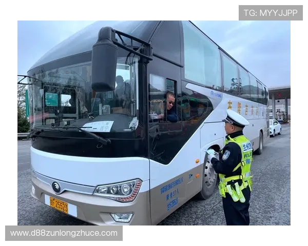 尊龙网站新手玩家必看入门指南与常见问题解答汇总