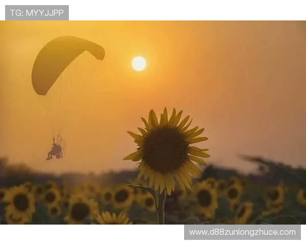 搏斗人生，坚信梦想的力量让我们勇往直前